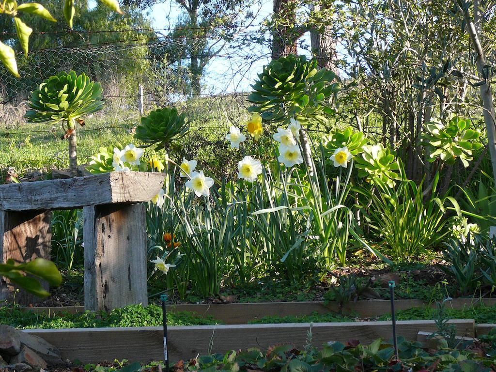 Sinnamons Cottage Maldon Zimmer foto