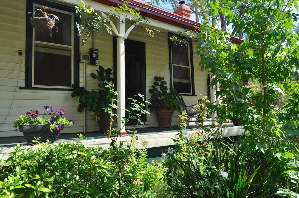 Sinnamons Cottage Maldon Exterior foto